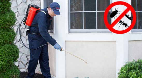 Alacakaya Bit İlaçlama böcek ilaçlama ve haşere kontrolü — ilaclama-tr.com